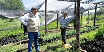 El programa otorga un apoyo mensual de 6 mil 450 pesos a familias campesinas