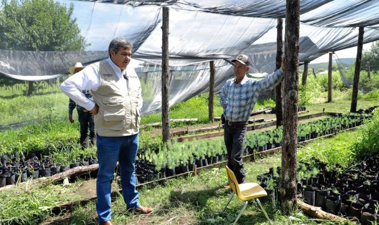 El programa otorga un apoyo mensual de 6 mil 450 pesos a familias campesinas