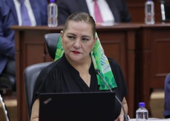 El INE no será juez y parte para anular candidaturas: Guadalupe Taddei