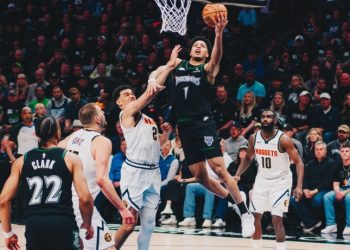 timberwolves