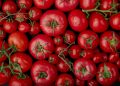 INEGI alerta aumento en líneas de pobreza en México; alimentos suben más que la inflación