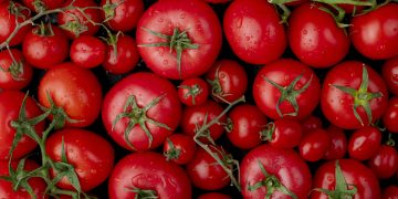 INEGI alerta aumento en líneas de pobreza en México; alimentos suben más que la inflación