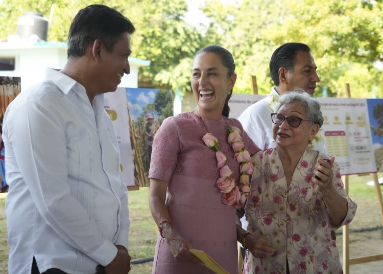 Hazel Cárdenas / Presidencia