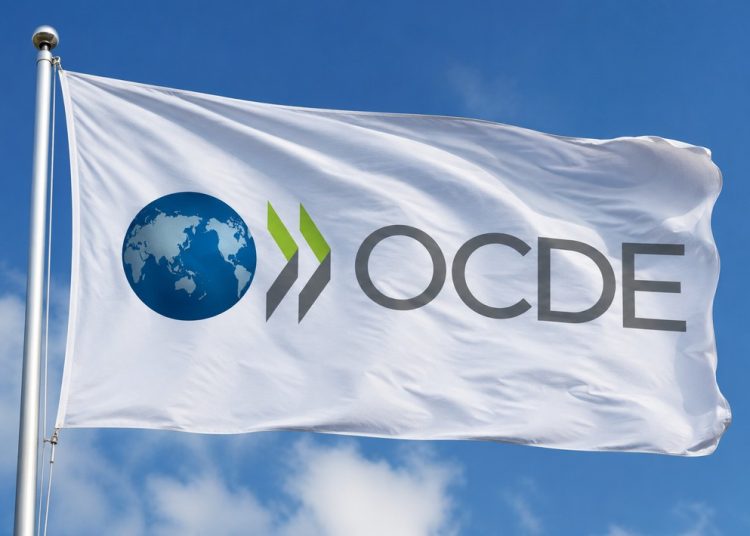 OCDE: América Latina puede generar hasta 15 millones de empleos con una transición verde