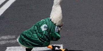 "El nombre del Pato Merlín revoluciona el mundo con 1.2 billones de conversaciones": Especialista