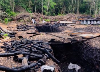 Profepa y Guardia Nacional desmantelan complejo clandestino de carbón vegetal en la Sierra de Tamaulipas