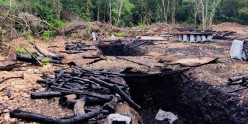 Profepa y Guardia Nacional desmantelan complejo clandestino de carbón vegetal en la Sierra de Tamaulipas