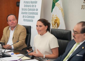 Jennifer Krystel Castillo toma el control de Grandes Contribuyentes del SAT