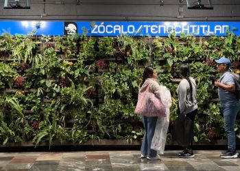 Metro revela cuánto costaron los nuevos muros verdes de la Línea 2
