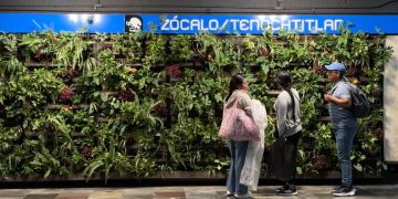 Metro revela cuánto costaron los nuevos muros verdes de la Línea 2
