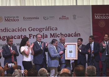 Economía entrega la Indicación Geográfica del Aguacate Franja Michoacán a 31 municipios