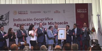 Economía entrega la Indicación Geográfica del Aguacate Franja Michoacán a 31 municipios