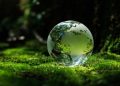 ICC México alerta por retos ambientales y exige acelerar acciones contra el cambio climático