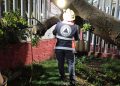 La fuerte lluvia de anoche dejó graves encharcamientos y 26 árboles caídos