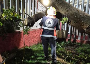 La fuerte lluvia de anoche dejó graves encharcamientos y 26 árboles caídos