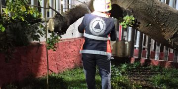 La fuerte lluvia de anoche dejó graves encharcamientos y 26 árboles caídos