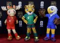 mascotas