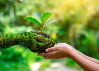 Día Mundial del Medio Ambiente 2026: la ONU llama a actuar frente al cambio climático