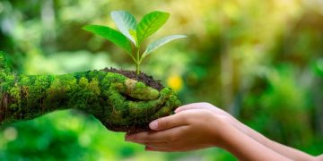 Día Mundial del Medio Ambiente 2026: la ONU llama a actuar frente al cambio climático