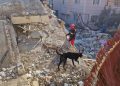 Venezuela confirma 164 muertos tras devastadores terremotos; continúan labores de rescate