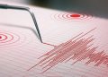 Temblor en Hidalgo: Reportan sismo de magnitud 4.0 y saldo blanco