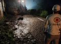 Fuertes lluvias dejan deslaves, árboles caídos y anegaciones en Veracruz