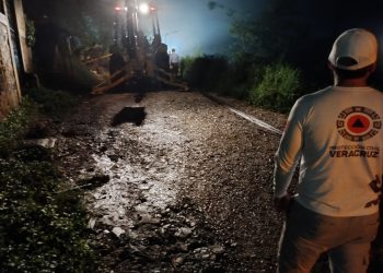 Fuertes lluvias dejan deslaves, árboles caídos y anegaciones en Veracruz