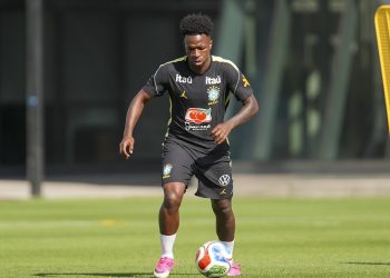 vini