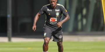 vini