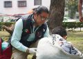 Cuauhtémoc retira 73 toneladas de basura y atiende a personas en situación de calle