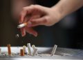 Autoridades decomisan más de 8.4 millones de cigarrillos presuntamente falsos en Manzanillo