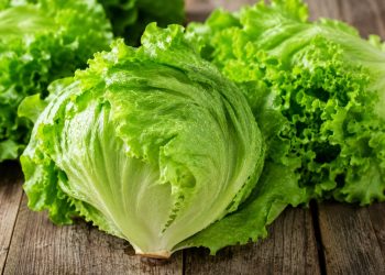 Retiran lechuga en EU por posible vínculo con brote de ciclosporiasis