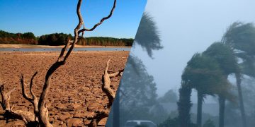 Sheinbaum alerta por un fenómeno de El Niño intenso: prevén más ciclones, lluvias extremas y sequía en México