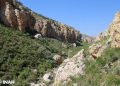 Descubren ocho nuevos sitios de pintura rupestre en Zacatecas con hasta mil 200 años de antigüedad