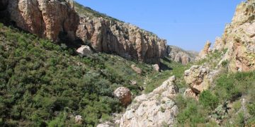 Descubren ocho nuevos sitios de pintura rupestre en Zacatecas con hasta mil 200 años de antigüedad
