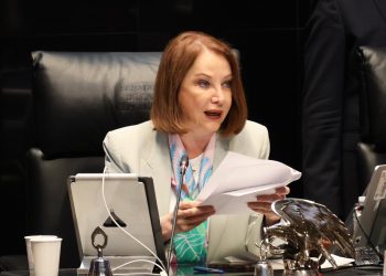 Laura Itzel Castillo plantea revisar la duración de la presidencia de la Mesa Directiva del Senado