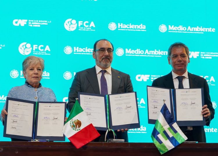 "La prioridad es la reconstrucción de ecosistemas": Alicia Bárcena