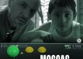 Moscas