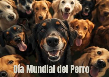 Día Mundial del Perro