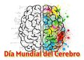 Día Mundial del Cerebro