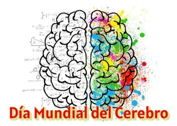Día Mundial del Cerebro