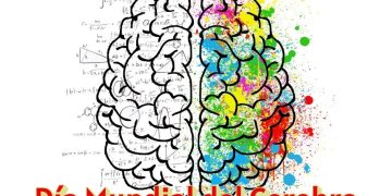 Día Mundial del Cerebro