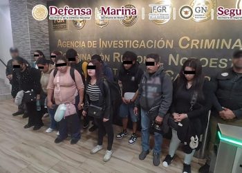 Decomisan 165 kilos de cocaína en el Aeropuerto de Tijuana; detienen a 11 pasajeros procedentes de Guadalajara