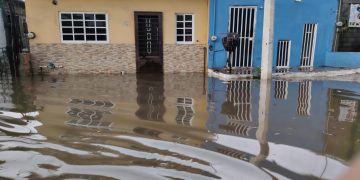 ¡Mazatlán bajo el agua! Fuertes lluvias inundan calles, derriban árboles y desbordan arroyos