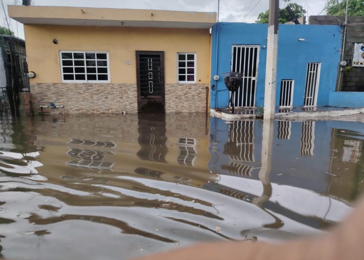 ¡Mazatlán bajo el agua! Fuertes lluvias inundan calles, derriban árboles y desbordan arroyos