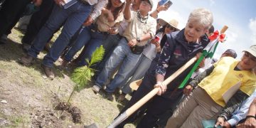 Día del Árbol: Gobierno reforzará reforestación y restauración de bosques en todo el país