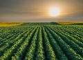 CNA alerta por riesgos sanitarios y pide fortalecer la prevención en el campo mexicano