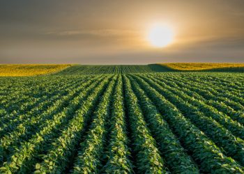 CNA alerta por riesgos sanitarios y pide fortalecer la prevención en el campo mexicano