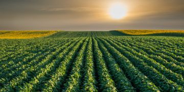 CNA alerta por riesgos sanitarios y pide fortalecer la prevención en el campo mexicano