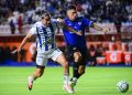 gallos